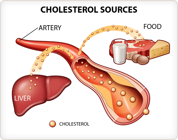 Kolesterol Nedir?